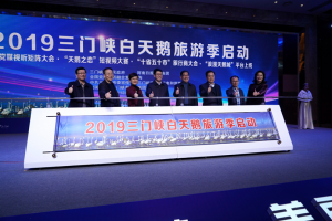 三門峽市文化旅游營銷平臺—“浪漫天鵝城”啟動(dòng)儀式暨“十省五十市”旅行商大會如期盛大舉行